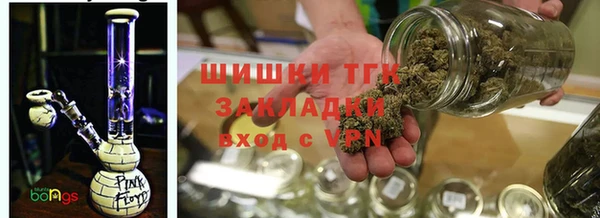 стаф Аркадак