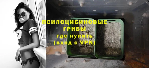 стаф Аркадак