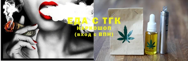 стаф Аркадак