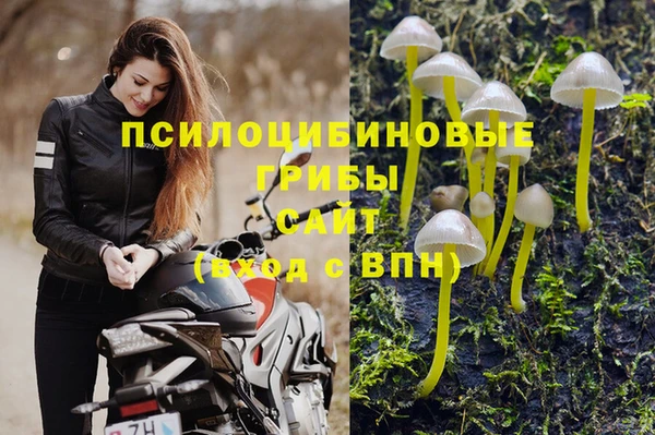 сатива Армянск