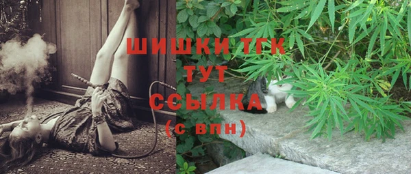 сатива Армянск