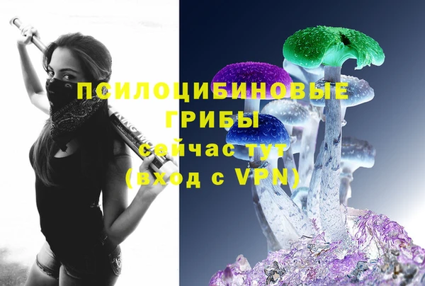 стаф Аркадак