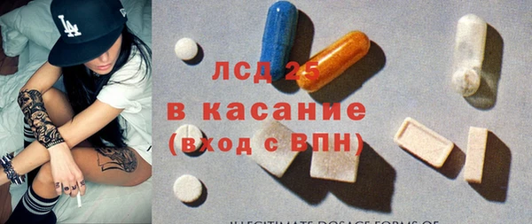 стаф Аркадак