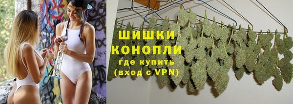 сатива Армянск