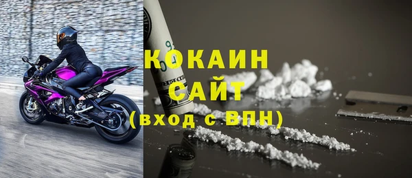 стаф Аркадак