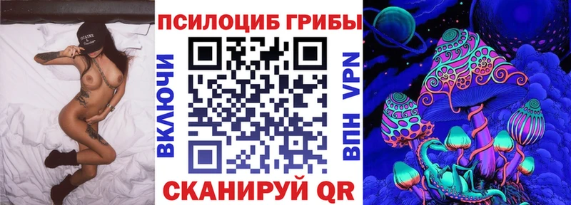 Галлюциногенные грибы Cubensis  Купить закладки  Камешково 